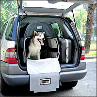 DOG BAG - Pet Transport Systems